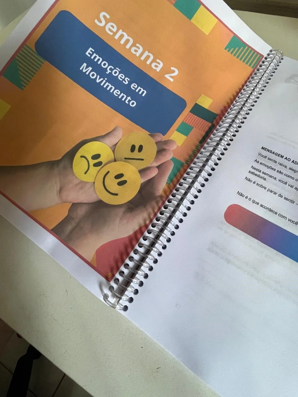Prévia Projeto de Vida Teen